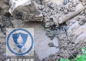 临沂水管漏水检测公司5
